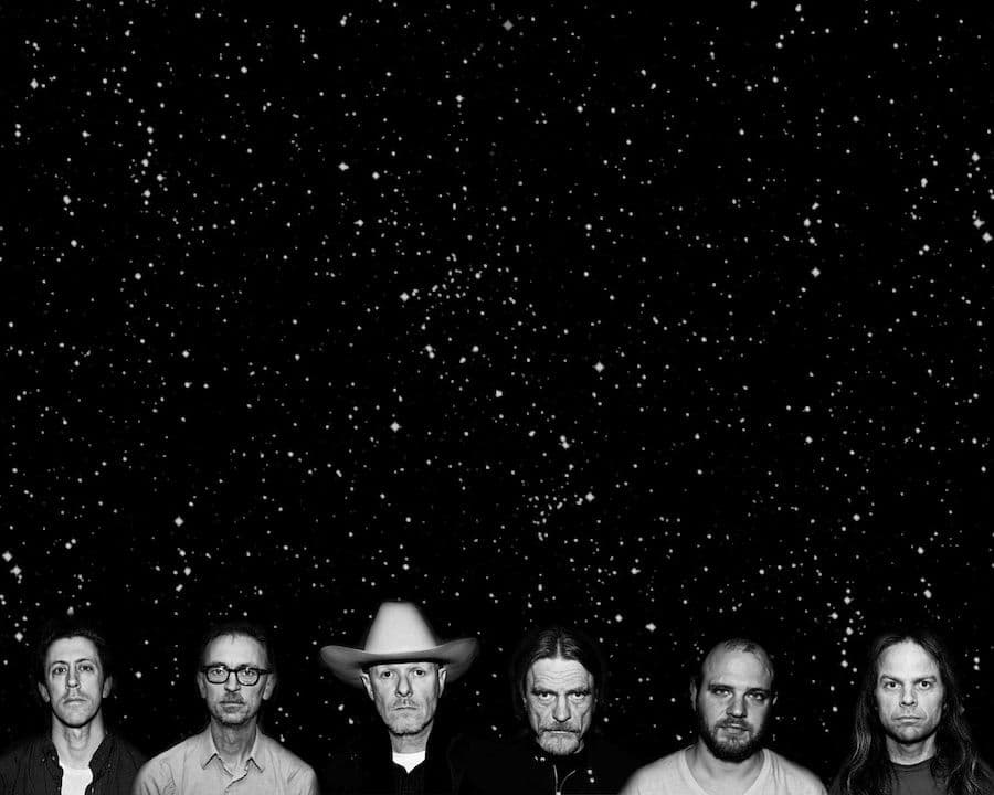 Swans - B90 - Gdańsk