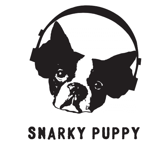 Snarky Puppy - Eskulap - Poznań