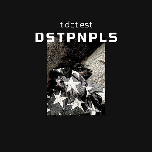 t dot est - DSTPNPLS