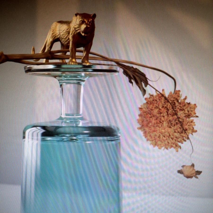 Beirut - Gallipoli