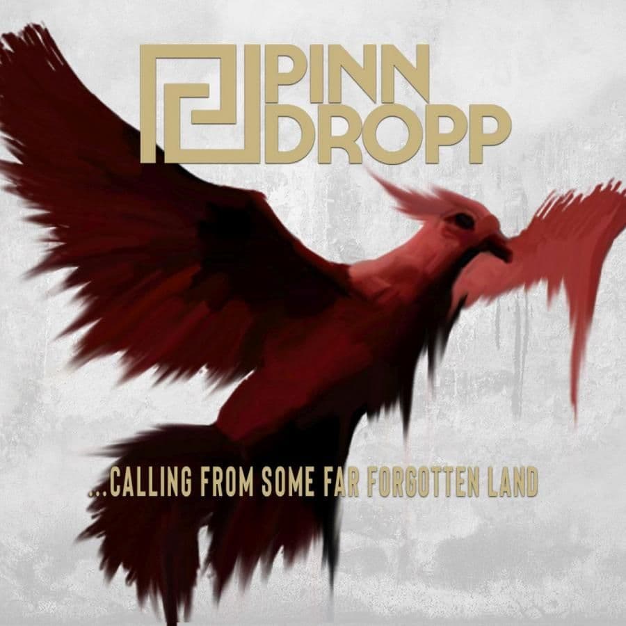 Pinn Dropp - ...Calling From Some Far Forgotten Land