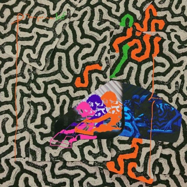 Animal Collective zapowiada nową płytę