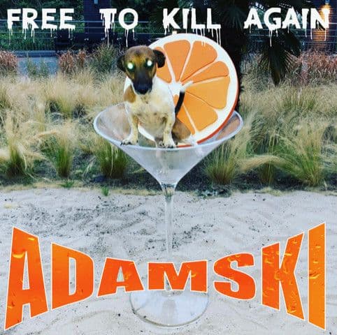 Gwiazdy celebrują 30 urodziny singla "Killer" Adamskiego