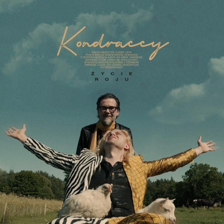 Kondraccy grają kocią muzykę