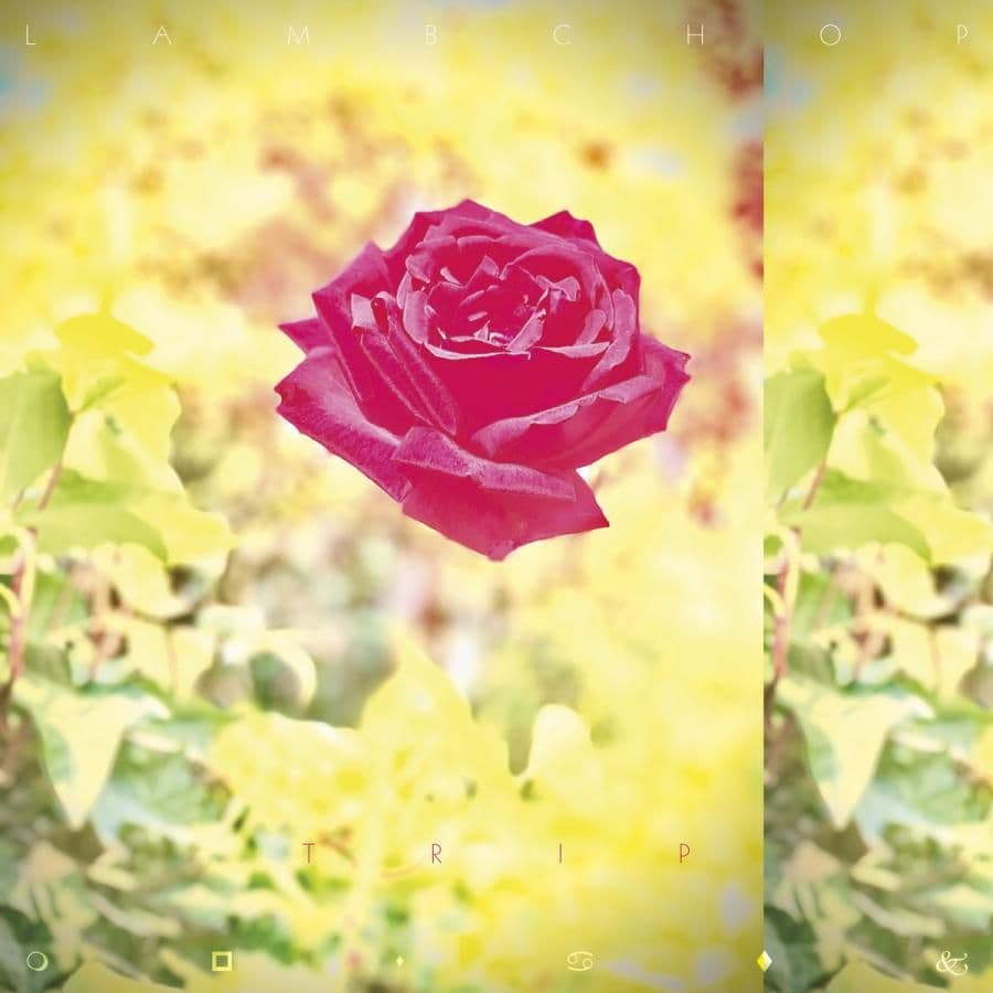 Lambchop zapowiada album z coverami