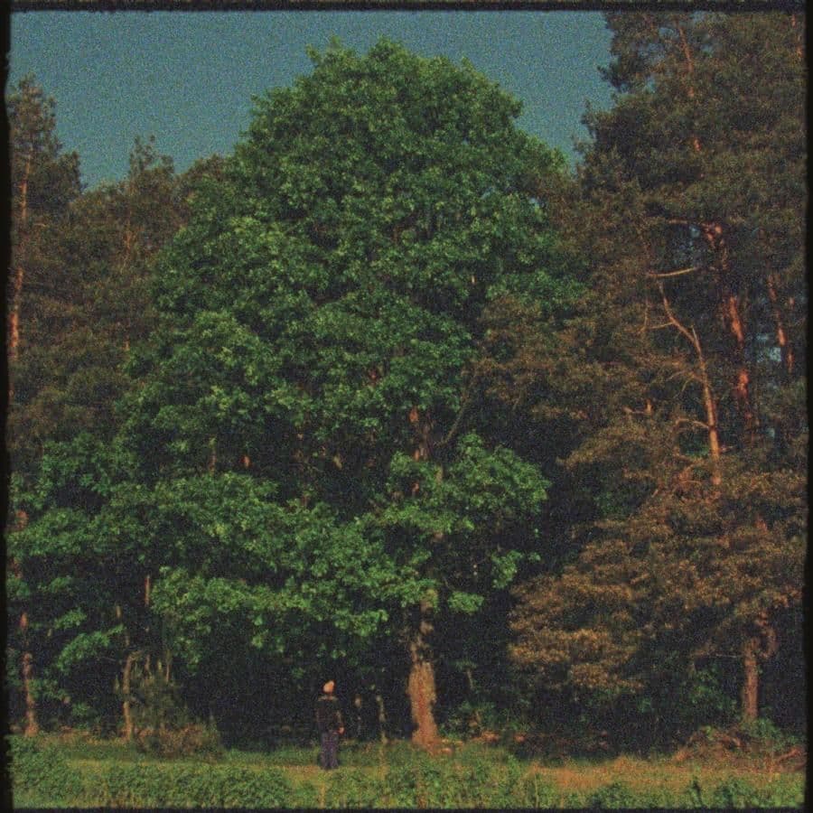 Małomiasteczkowy Dawid Podsiadło