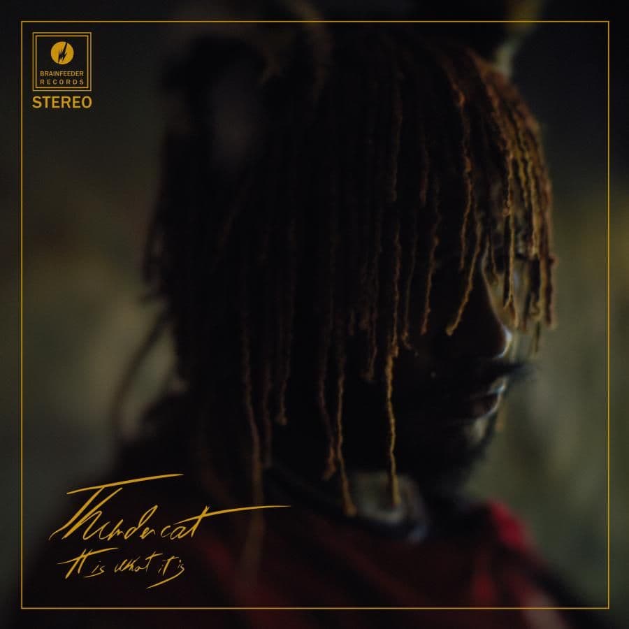 Thundercat wraca z nowym albumem