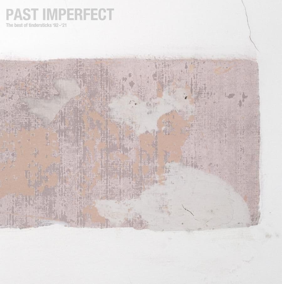 Tindersticks z kompilacją na 30-lecie zespołu