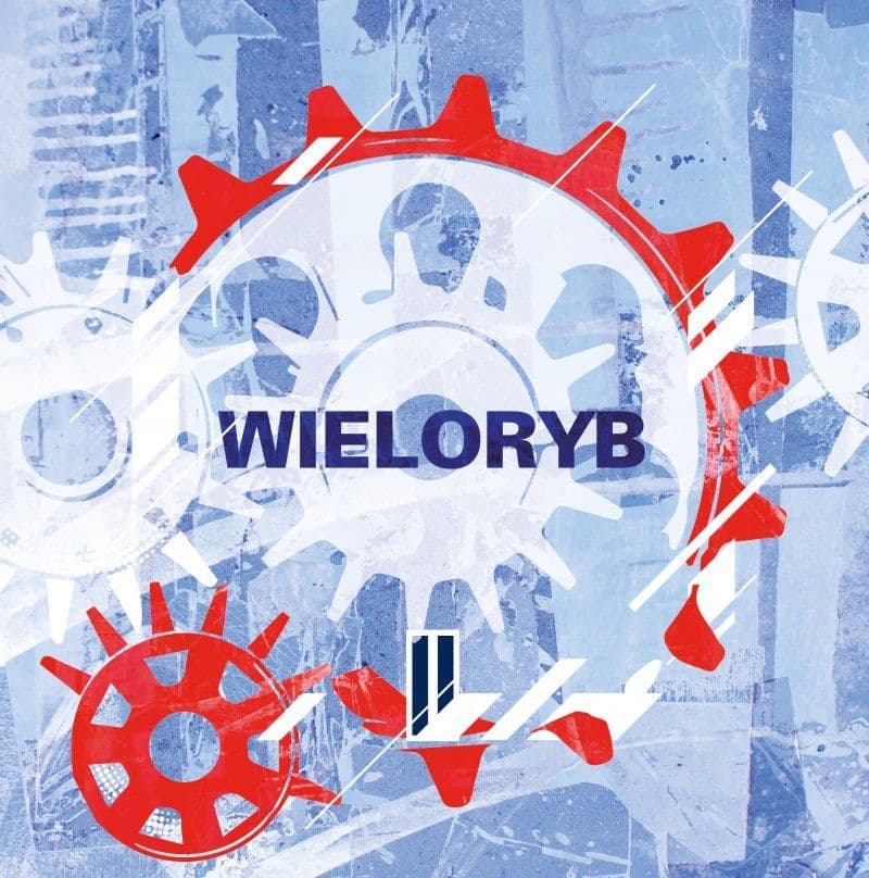 Wieloryb wynurzył się po raz drugi