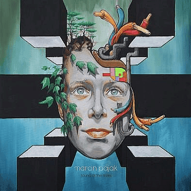 Marcin Pająk - Sound of the Trees