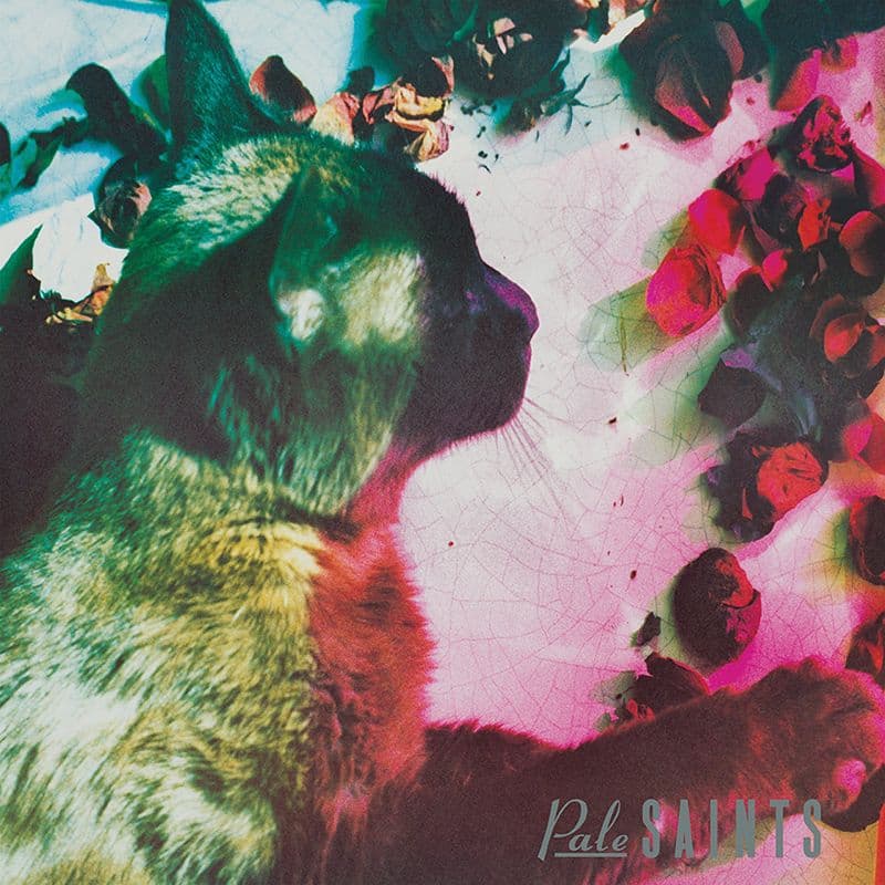 Pale Saints - The Comforts Of Madness (reedycja)